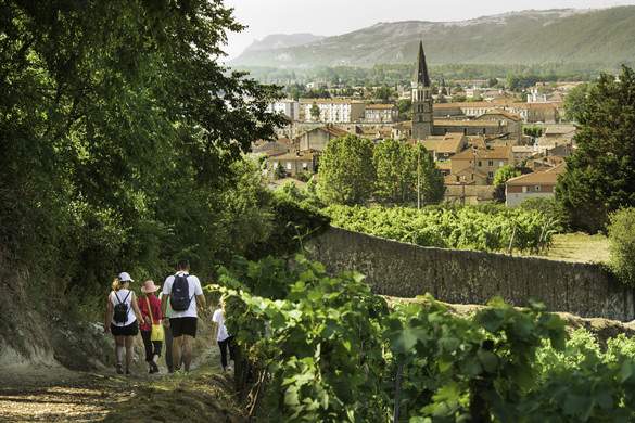 Avalon Waterways Adventure Center Bikes Hikes Excursions 1.jpg